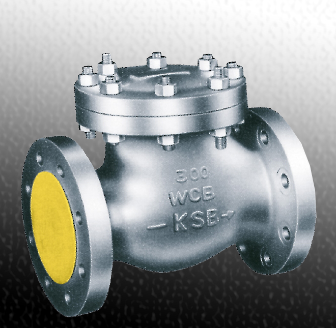 Globe, Gate & Check Valves